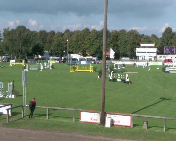 Reitturnier Bad Segeberg 2017