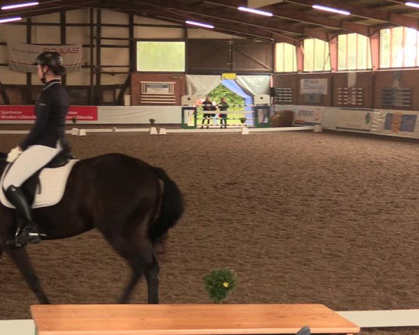 Reitturnier Ovenstädt 2017