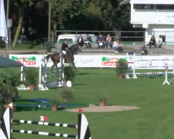 Reitturnier Bad Segeberg 2017