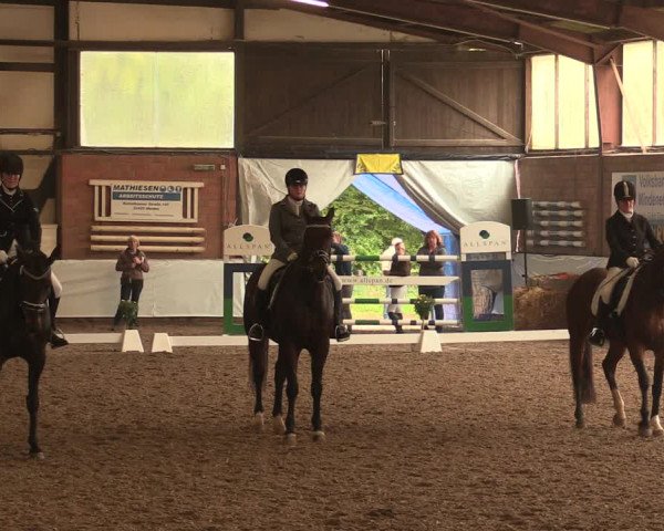 Reitturnier Ovenstädt 2017