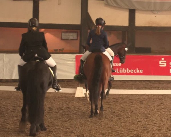 Reitturnier Ovenstädt 2017