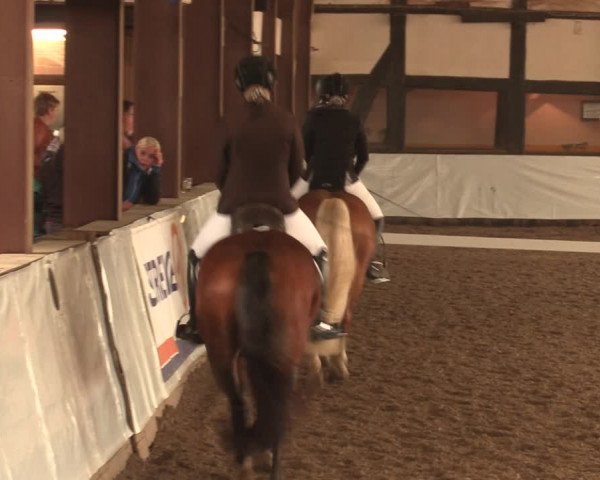 Reitturnier Ovenstädt 2017