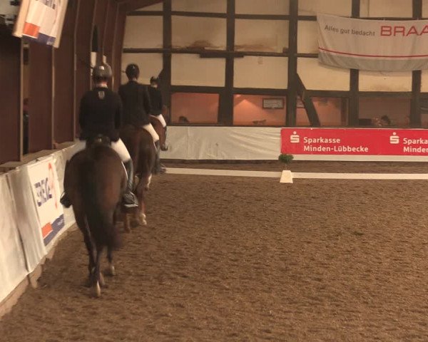 Reitturnier Ovenstädt 2017