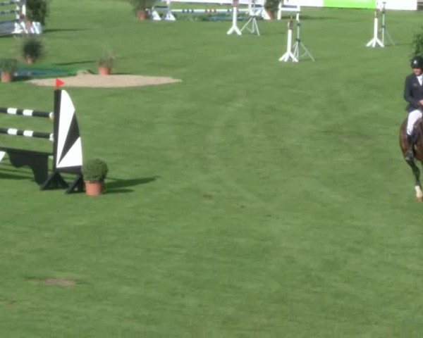 Reitturnier Bad Segeberg 2017