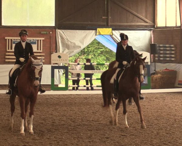 Reitturnier Ovenstädt 2017