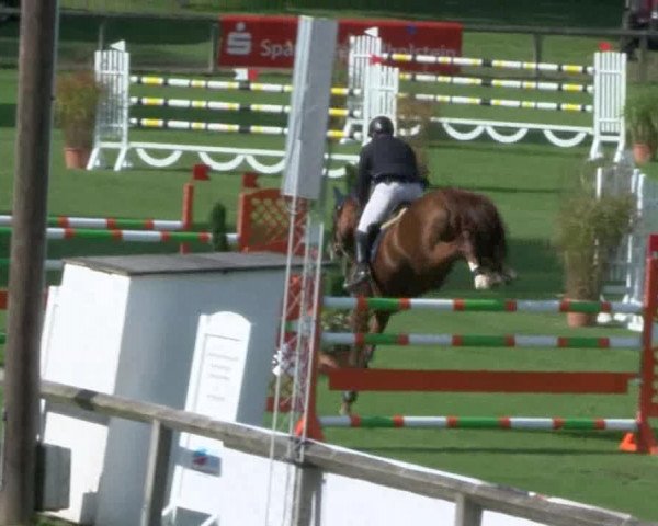 Reitturnier Bad Segeberg 2017