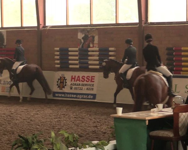 Reitturnier Ovenstädt 2017