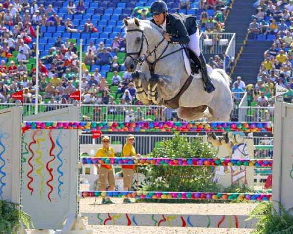 jumper Carlo 273 (Holsteiner, 2001, from Contender)