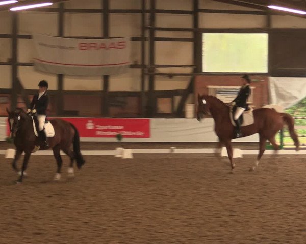 Reitturnier Ovenstädt 2017