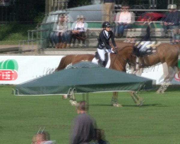 Reitturnier Bad Segeberg 2017