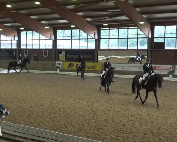 Reitturnier Köln-Leverkusen 2017