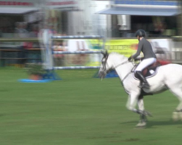 Reitturnier Bad Segeberg 2017