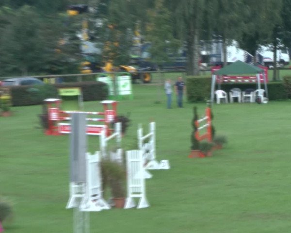 Reitturnier Bad Segeberg 2017