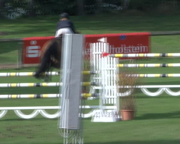 Reitturnier Bad Segeberg 2017
