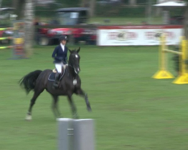 Reitturnier Bad Segeberg 2017