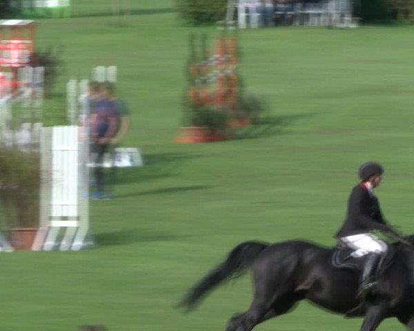 Reitturnier Bad Segeberg 2017