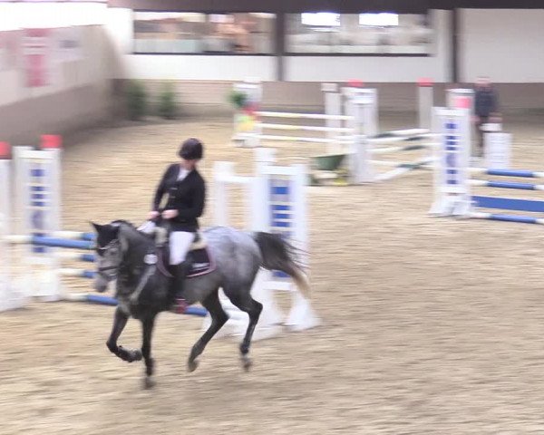Reitturnier Vlotho-Valdorf 2017