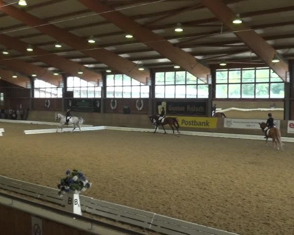 Reitturnier Köln-Leverkusen 2017