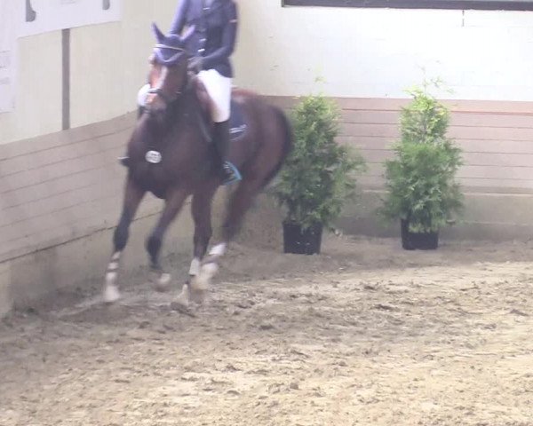 Reitturnier Vlotho-Valdorf 2017