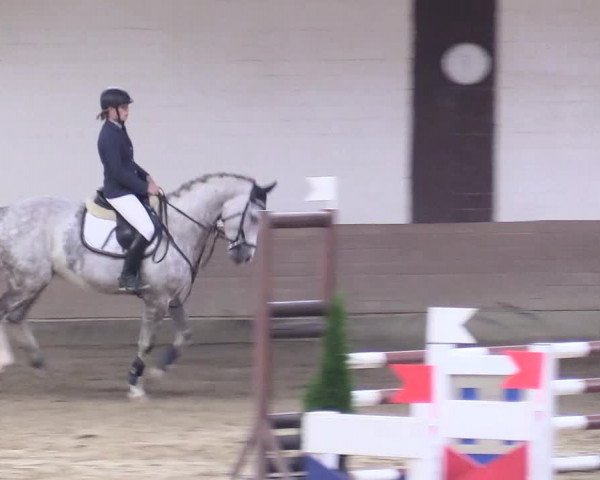 Reitturnier Vlotho-Valdorf 2017