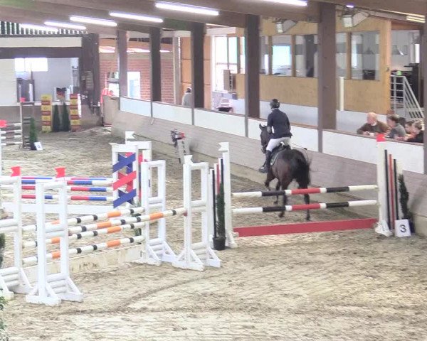 Reitturnier Vlotho-Valdorf 2017
