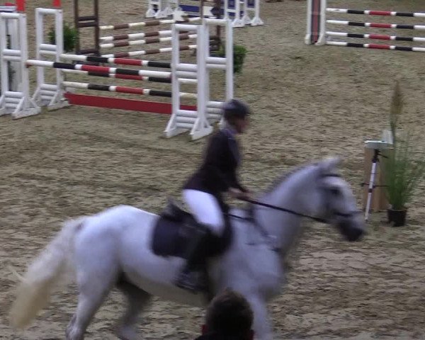 Reitturnier Vlotho-Valdorf 2017
