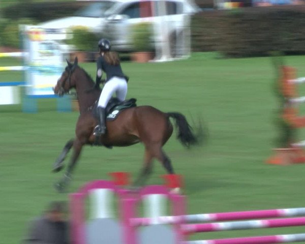 Reitturnier Bad Segeberg 2017