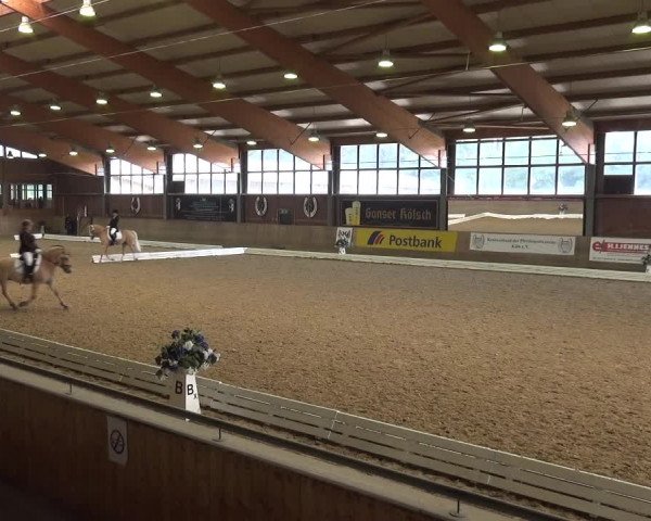 Reitturnier Köln-Leverkusen 2017