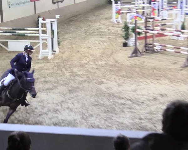 Reitturnier Vlotho-Valdorf 2017