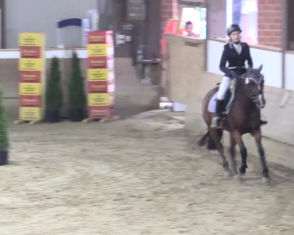 Reitturnier Vlotho-Valdorf 2017