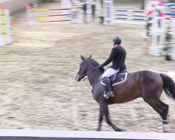 Reitturnier Vlotho-Valdorf 2017