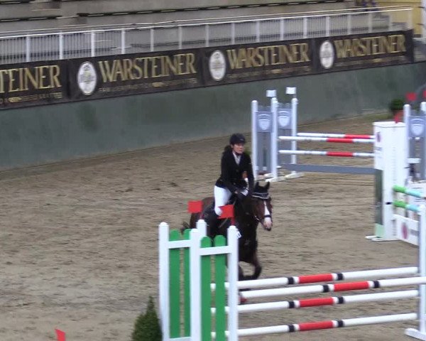 Reitturnier Warstein 2017
