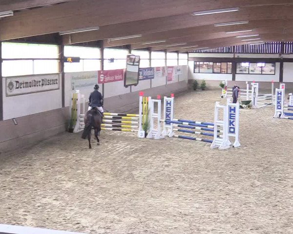 Reitturnier Vlotho-Valdorf 2017
