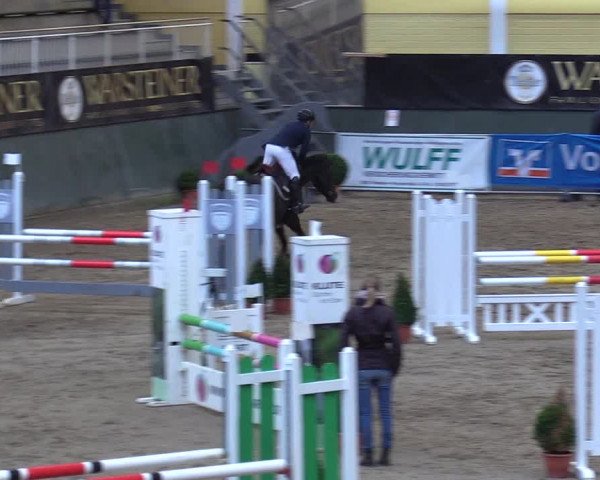 Reitturnier Warstein 2017