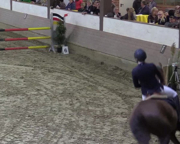 Reitturnier Vlotho-Valdorf 2017
