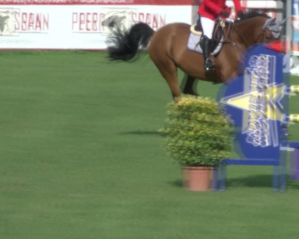Reitturnier Bad Segeberg 2017