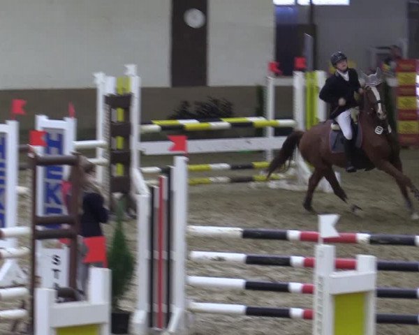 Reitturnier Vlotho-Valdorf 2017