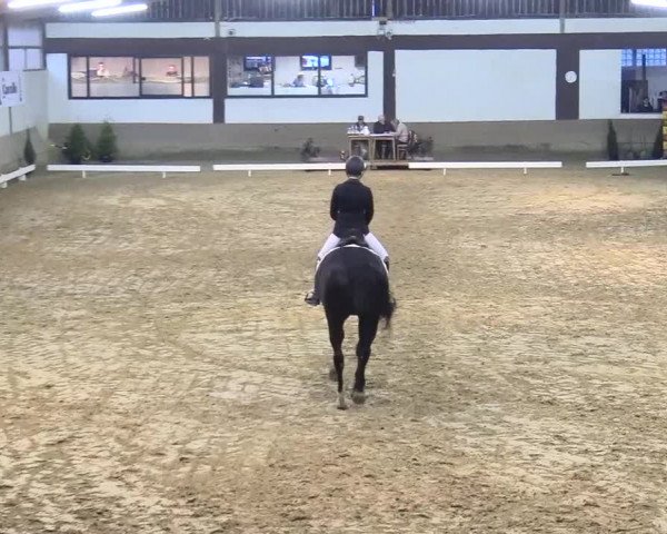 Reitturnier Vlotho-Valdorf 2017