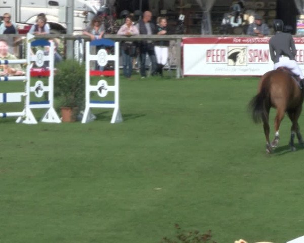 Reitturnier Bad Segeberg 2017