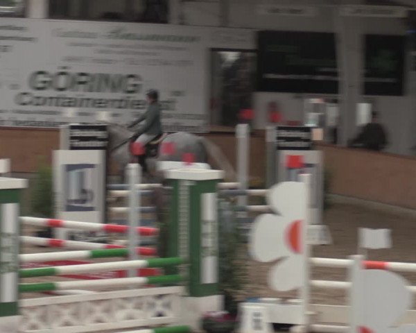 30. Hallen-Reit- und Springturnier Vreden