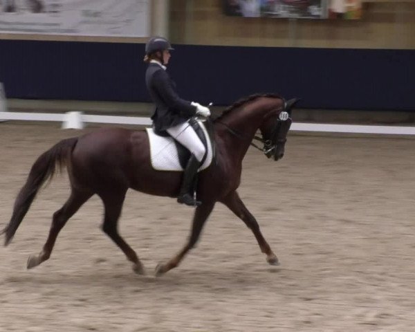 Reitturnier Weilheim/Teck 2017