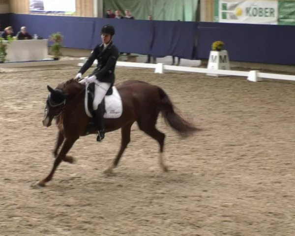 Reitturnier Weilheim/Teck 2017