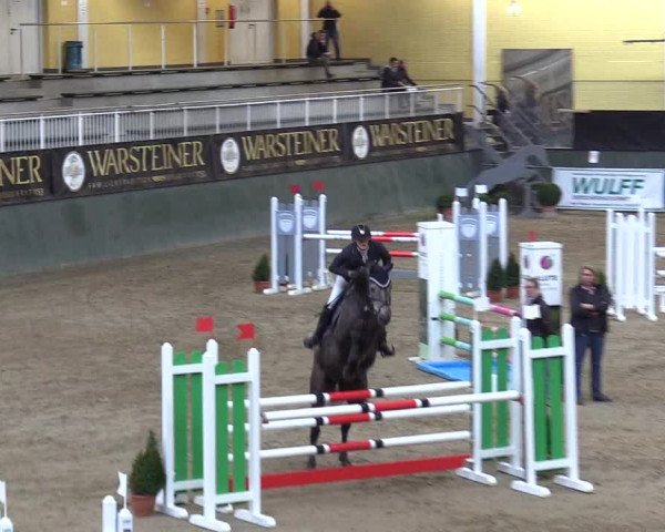 Reitturnier Warstein 2017