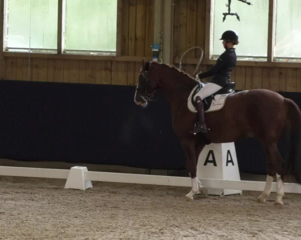 Reitturnier Weilheim/Teck 2017