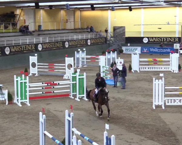 Reitturnier Warstein 2017