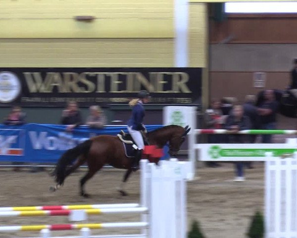 Reitturnier Warstein 2017