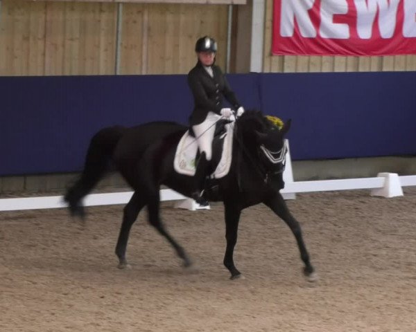 Reitturnier Weilheim/Teck 2017