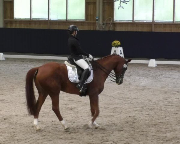 Reitturnier Weilheim/Teck 2017