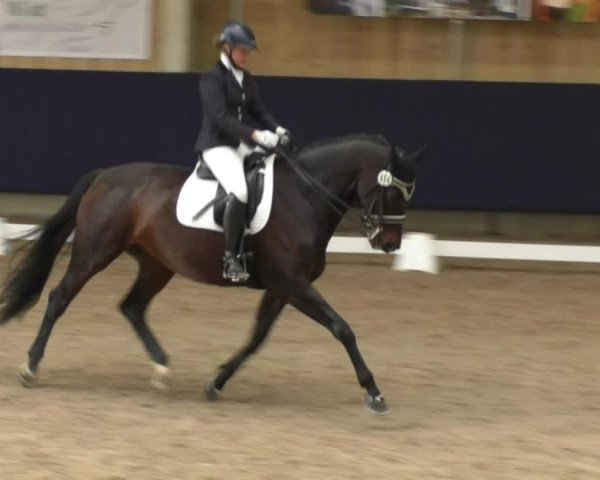 Reitturnier Weilheim/Teck 2017