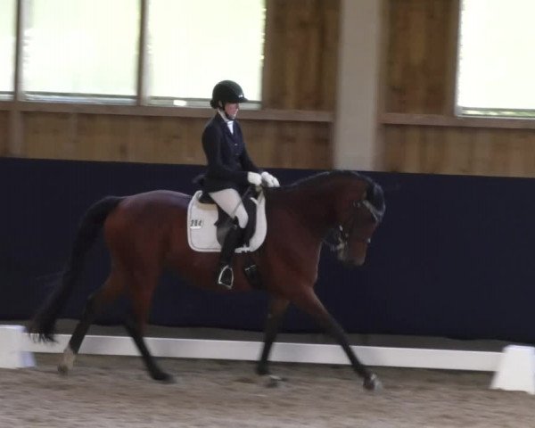 Reitturnier Weilheim/Teck 2017